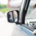 Pet Vehicle Law